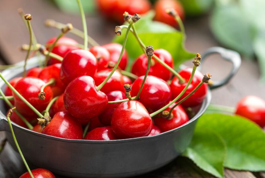 The Health Benefits of Cherries From Heart Health to Better Sleep Why Cherries Should Be Your Go To Fruit The Health Dispensary